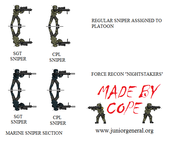 Marine Sniper Section
